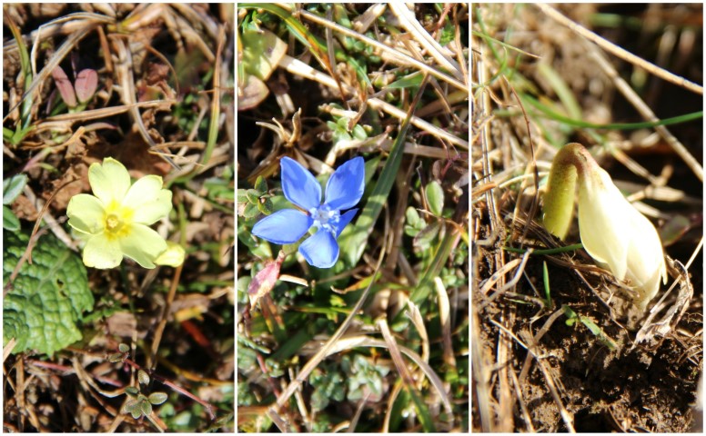 BeFunky_IMG_9296 (Small).jpg (Small)