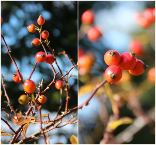 befunky_artwork.jpg (Small)