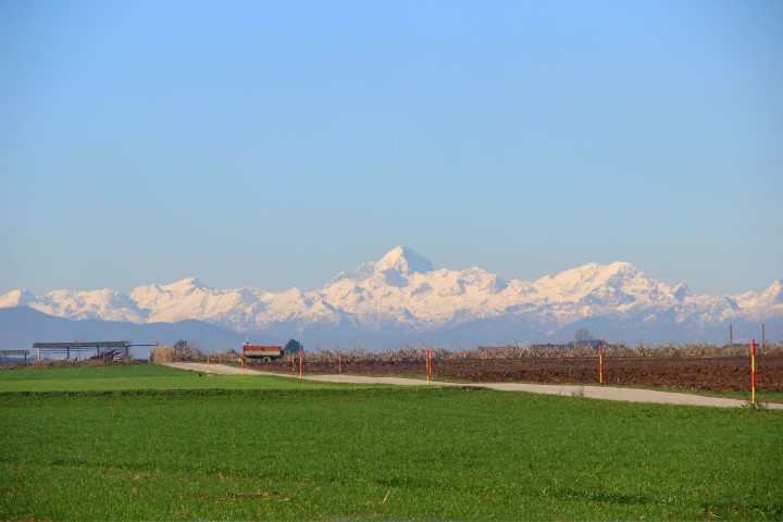 BeFunky_IMG_9657.jpg (Small)