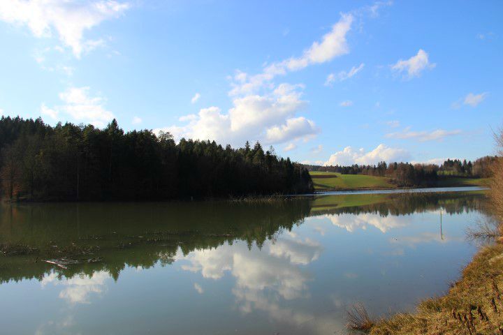 IMG_0397 (Small)