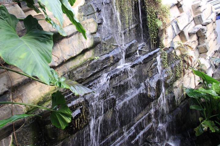 IMG_0502 (Small)