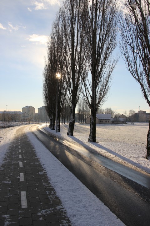 IMG_0663 (Small)