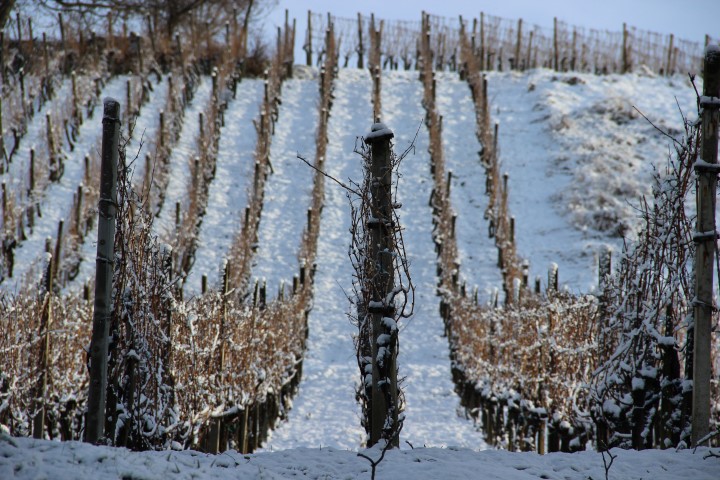 IMG_0681 (Small)