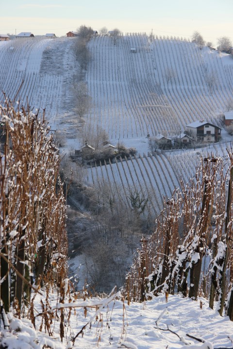 IMG_0690 (Small)