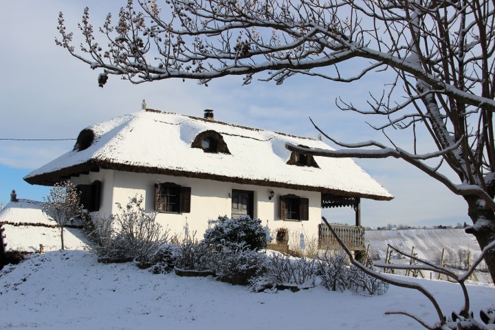 IMG_0700 (Small)