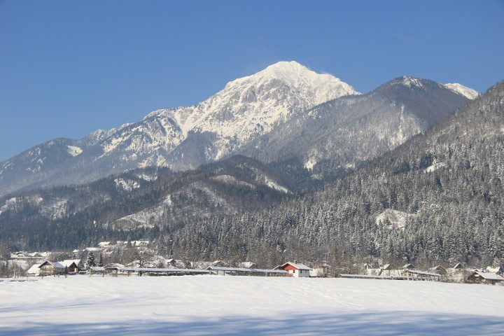 IMG_0757 (Small)