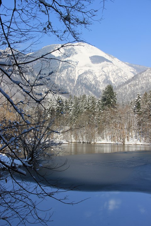IMG_0762 (Small)