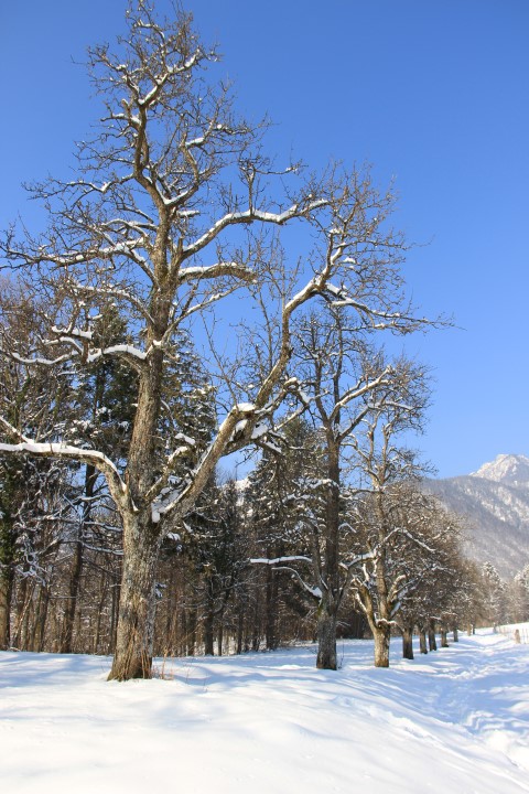 IMG_0781 (Small)
