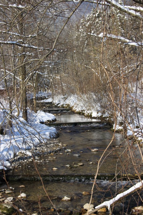 IMG_0803 (Small)