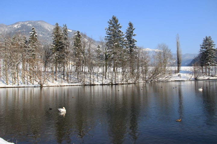 IMG_0827 (Small)