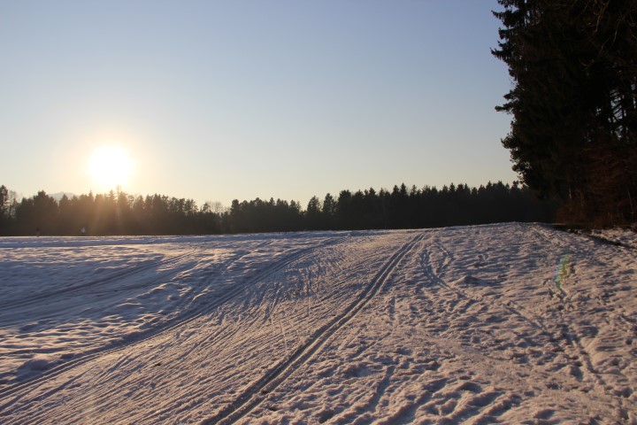 IMG_0919 (Small)