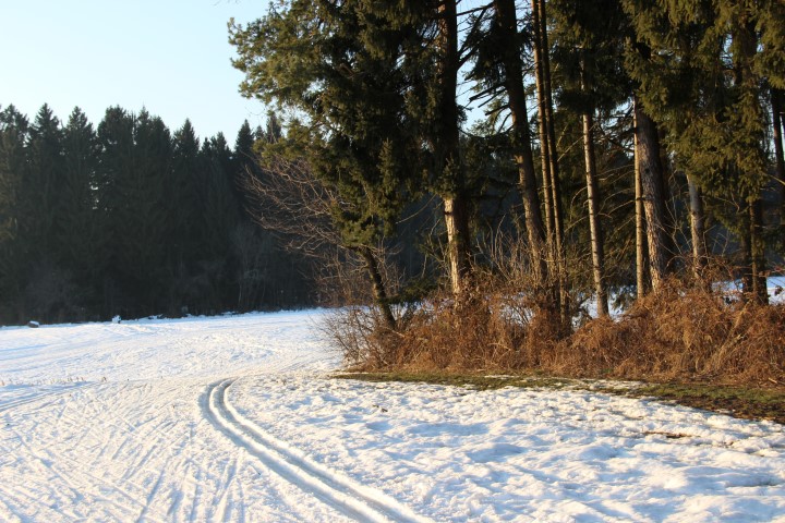 IMG_0923 (Small)