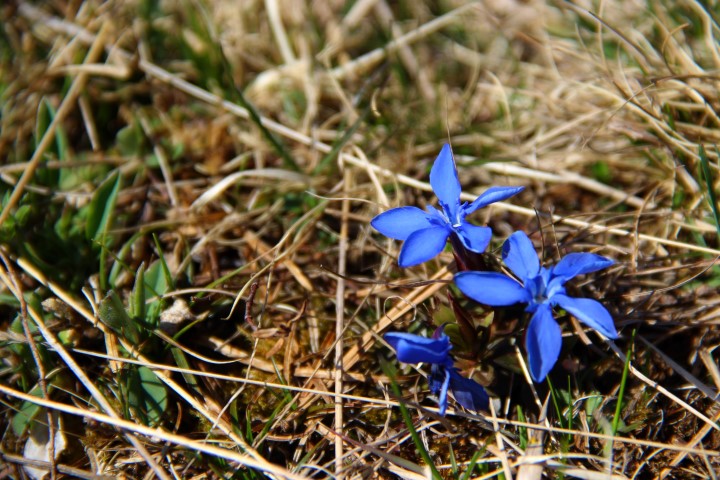 IMG_1614 (Small)