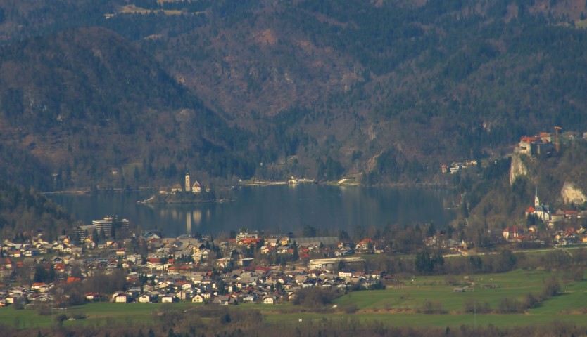 New Image (Small)