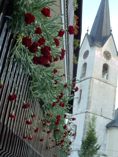 DSC05940 (Small)
