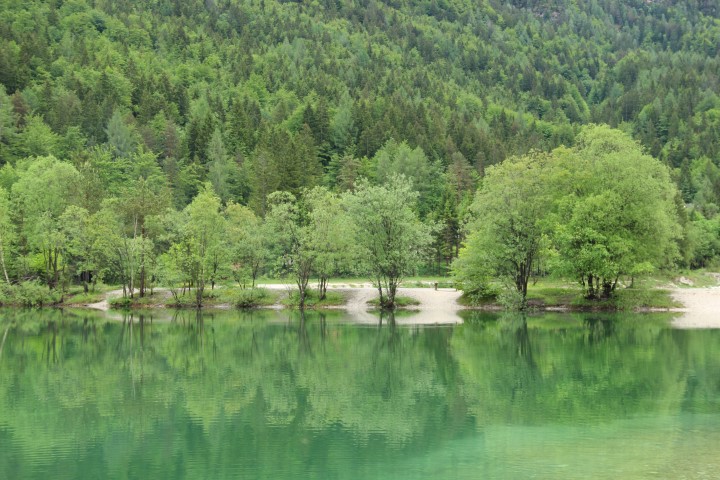 IMG_2730 (Small)