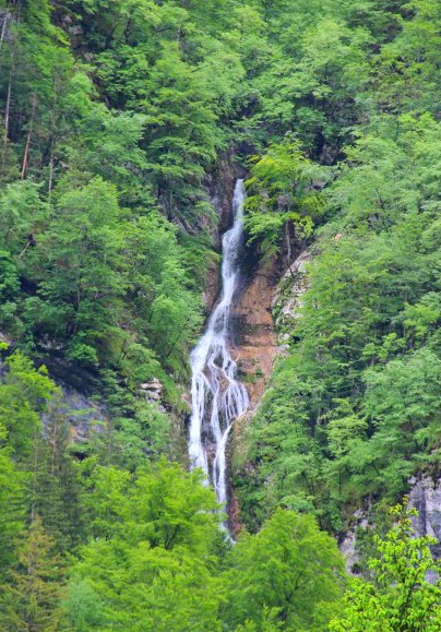 IMG_2740 (Small)