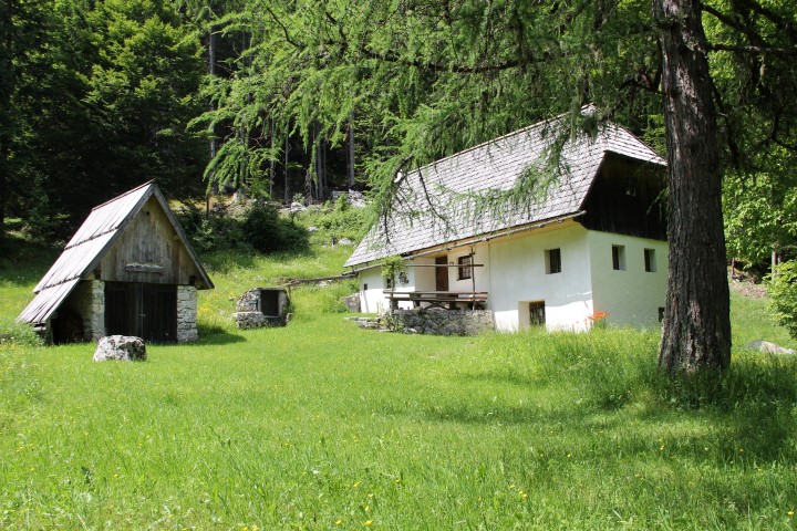 IMG_3244 (Small)