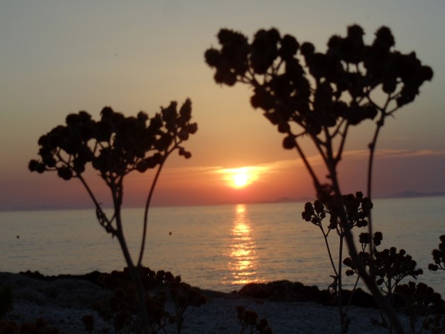 DSC06220 (Small)
