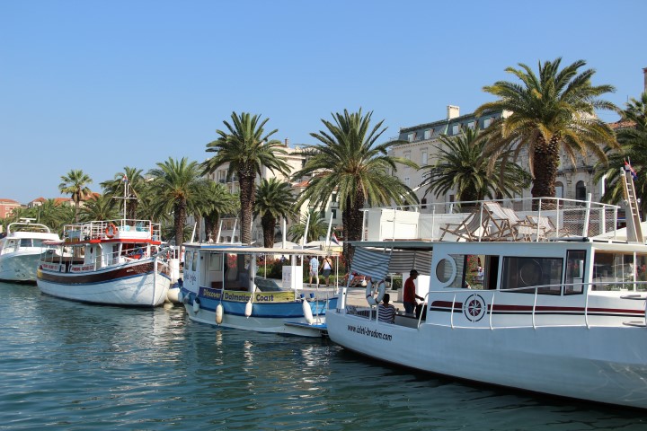 IMG_4706 (Small)
