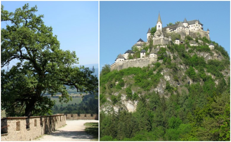 BeFunky Collage9999 (Small)