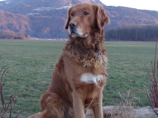 DSC04228 (Small)