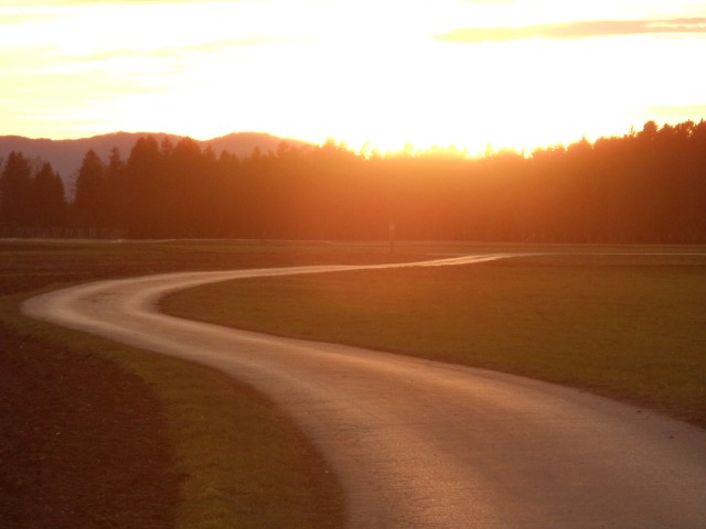 DSC07285 (Small)