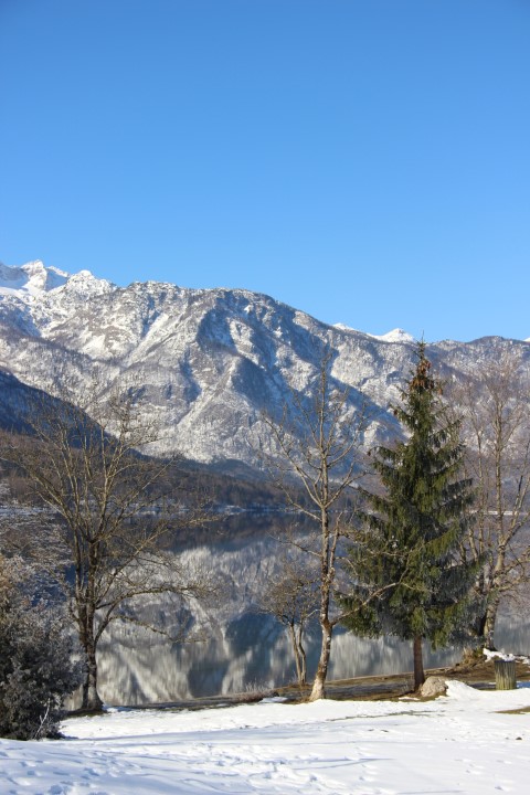 IMG_0974 (Small)