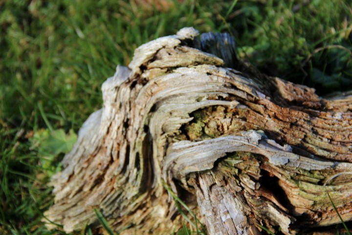 IMG_9304 (Small)