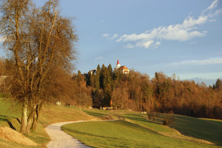 IMG_8456 (Small)