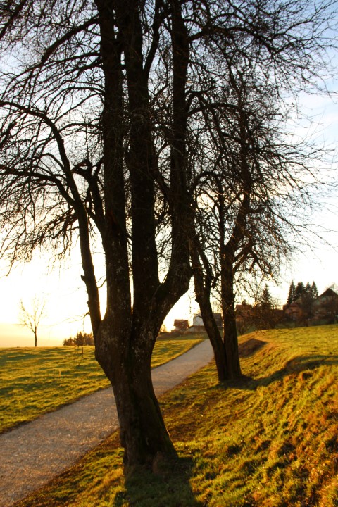 IMG_8469 (Small)