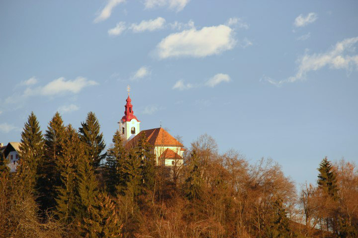 IMG_8470 (Small)