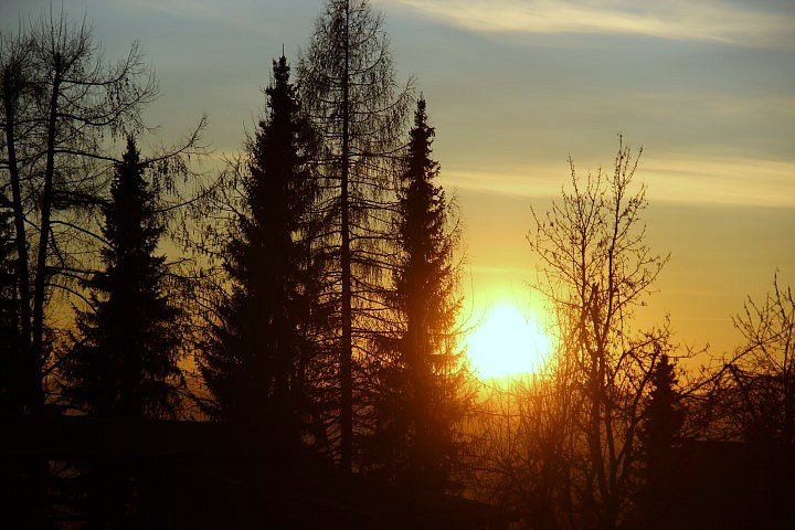 IMG_8479 (Small)