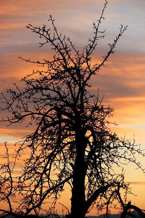 IMG_8504 (Small)