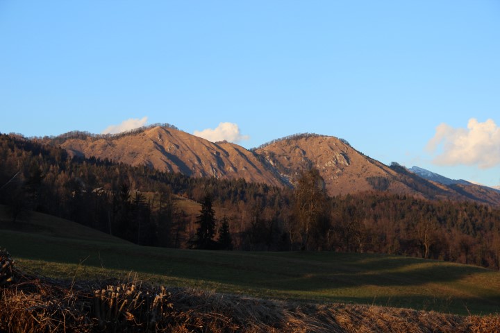 IMG_8551 (Small)