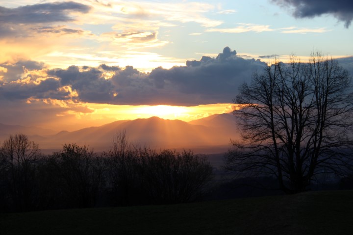 IMG_8560 (Small) (2)