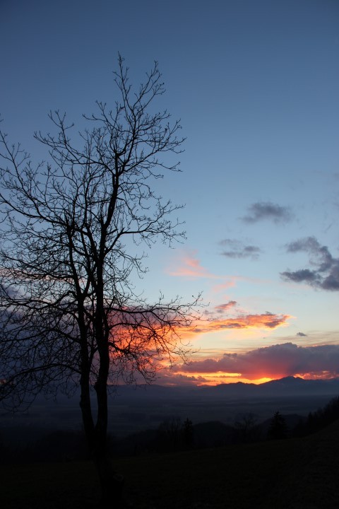 IMG_8613 (Small)