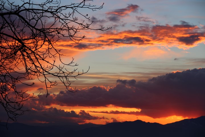IMG_8614 (Small) (2)