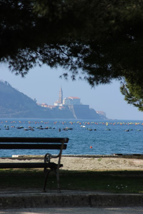 IMG_8776 (Small)