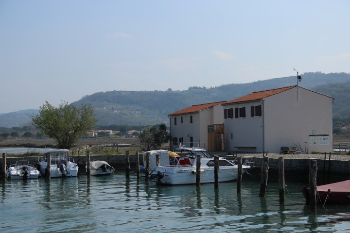 IMG_8782 (Small)