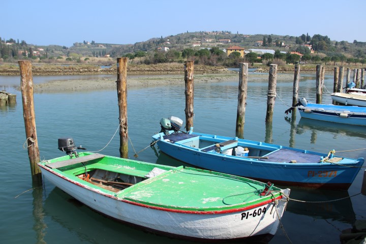 IMG_8803 (Small)