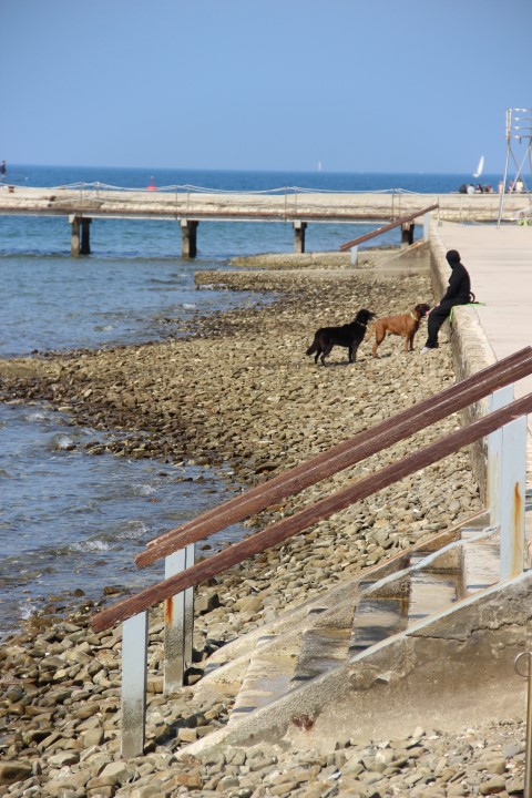 IMG_8821 (Small)