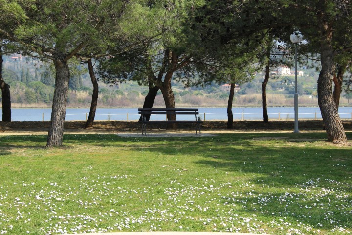 IMG_8837 (Small)