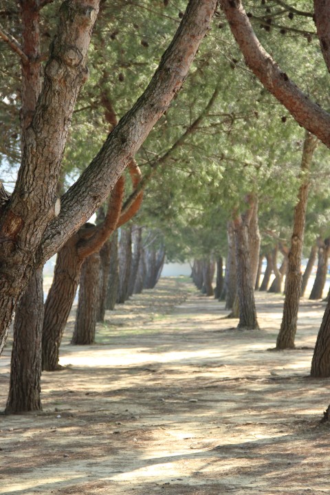 IMG_8872 (Small)