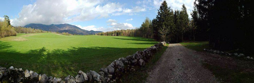 13054843_10207665446851804_702844091_o