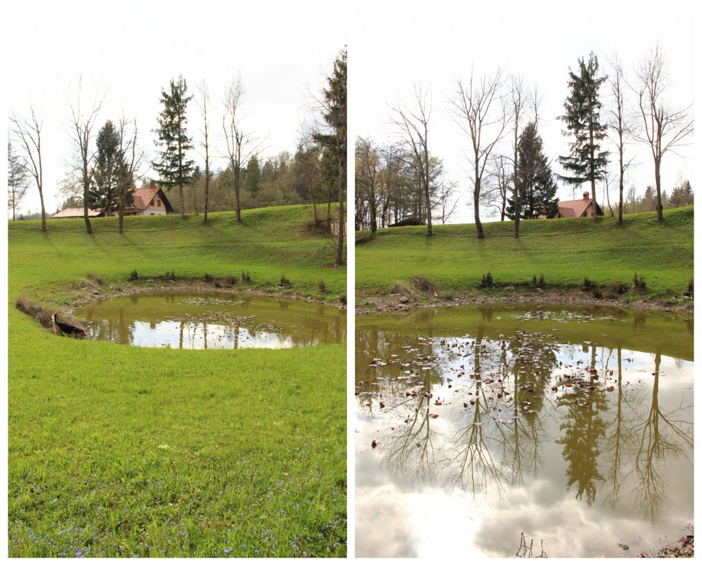 BeFunky Collageetretetg