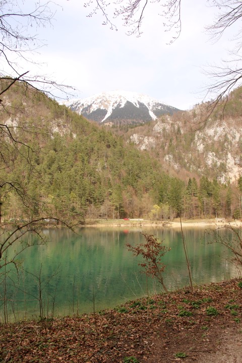 IMG_9033 (Small)