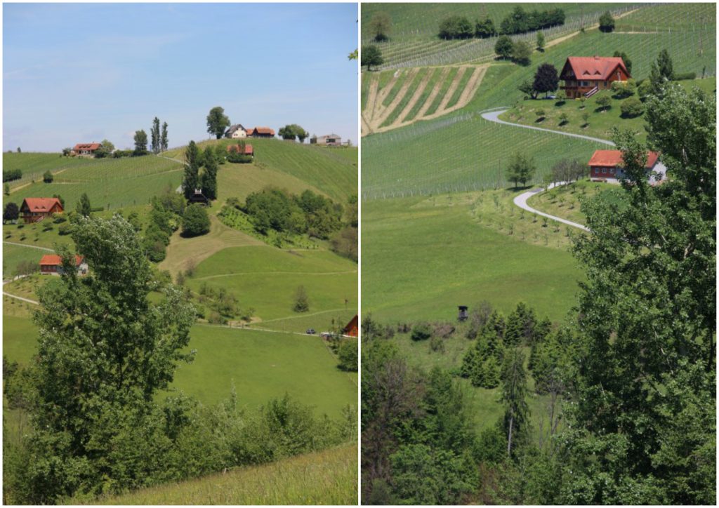 BeFunky Collageefwef