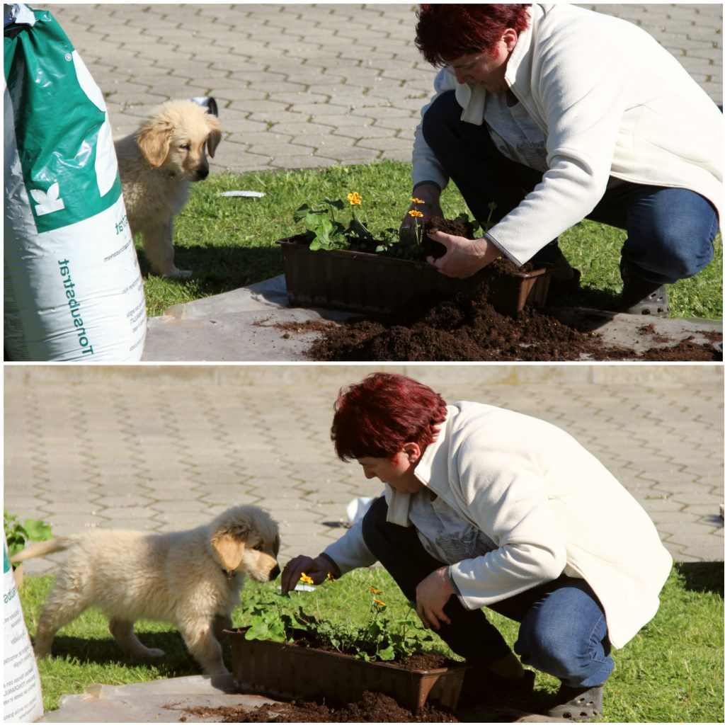 BeFunky Collagezhutfzu