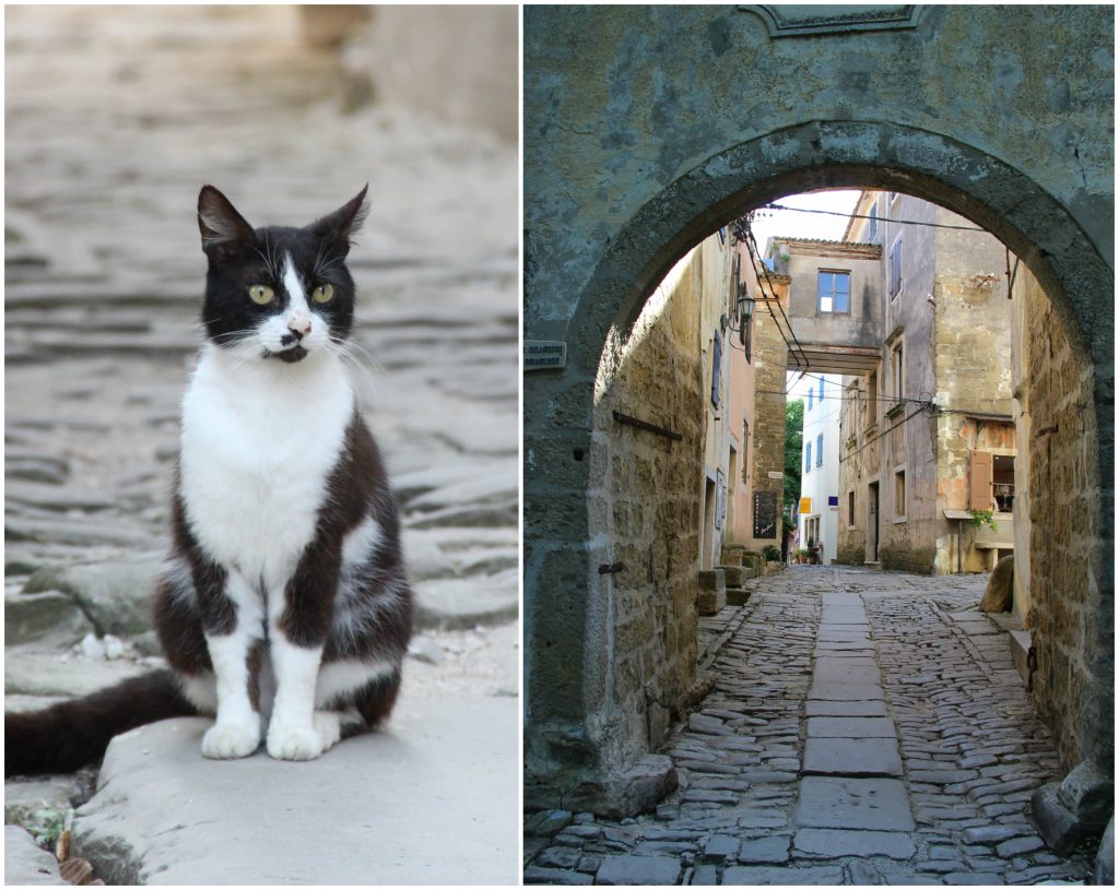 BeFunky Collageghfhfh